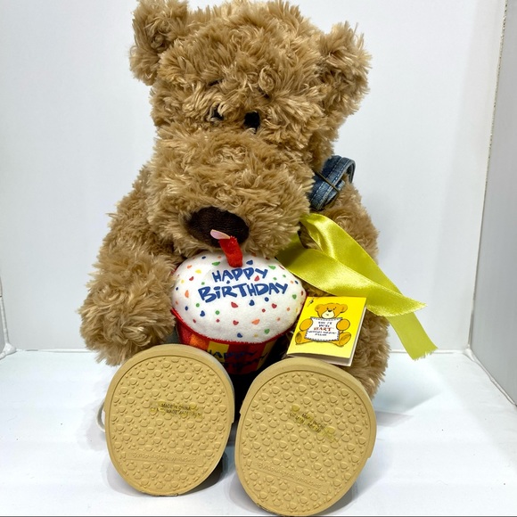 Happy Birthday Grizzly Build A Bear - Picture 10 of 12